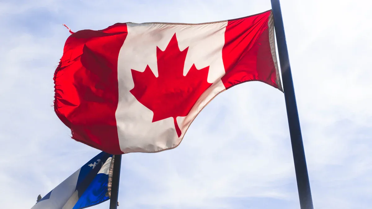 The Canadian flag in the wind