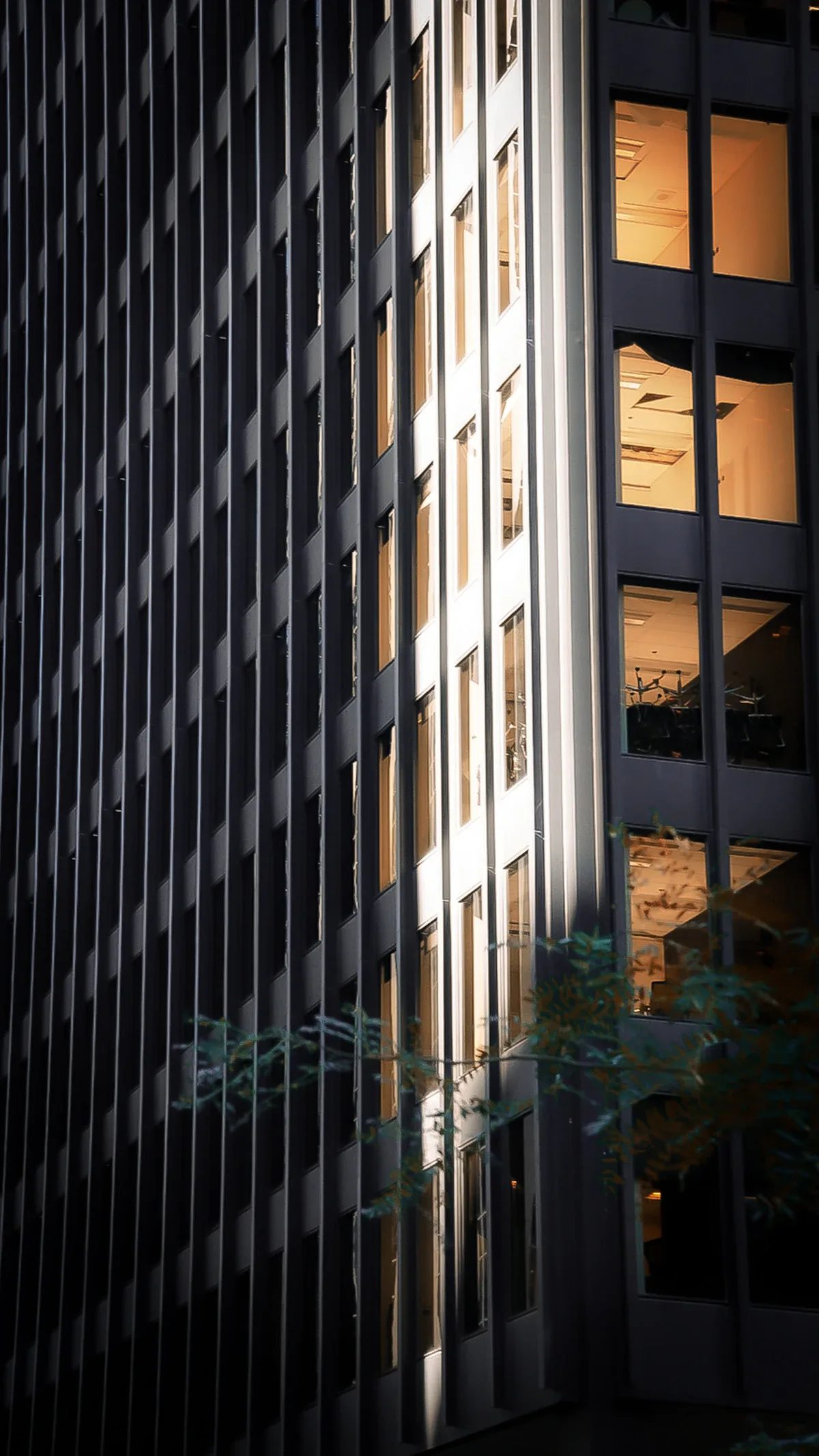 Office windows in Toronto's business district